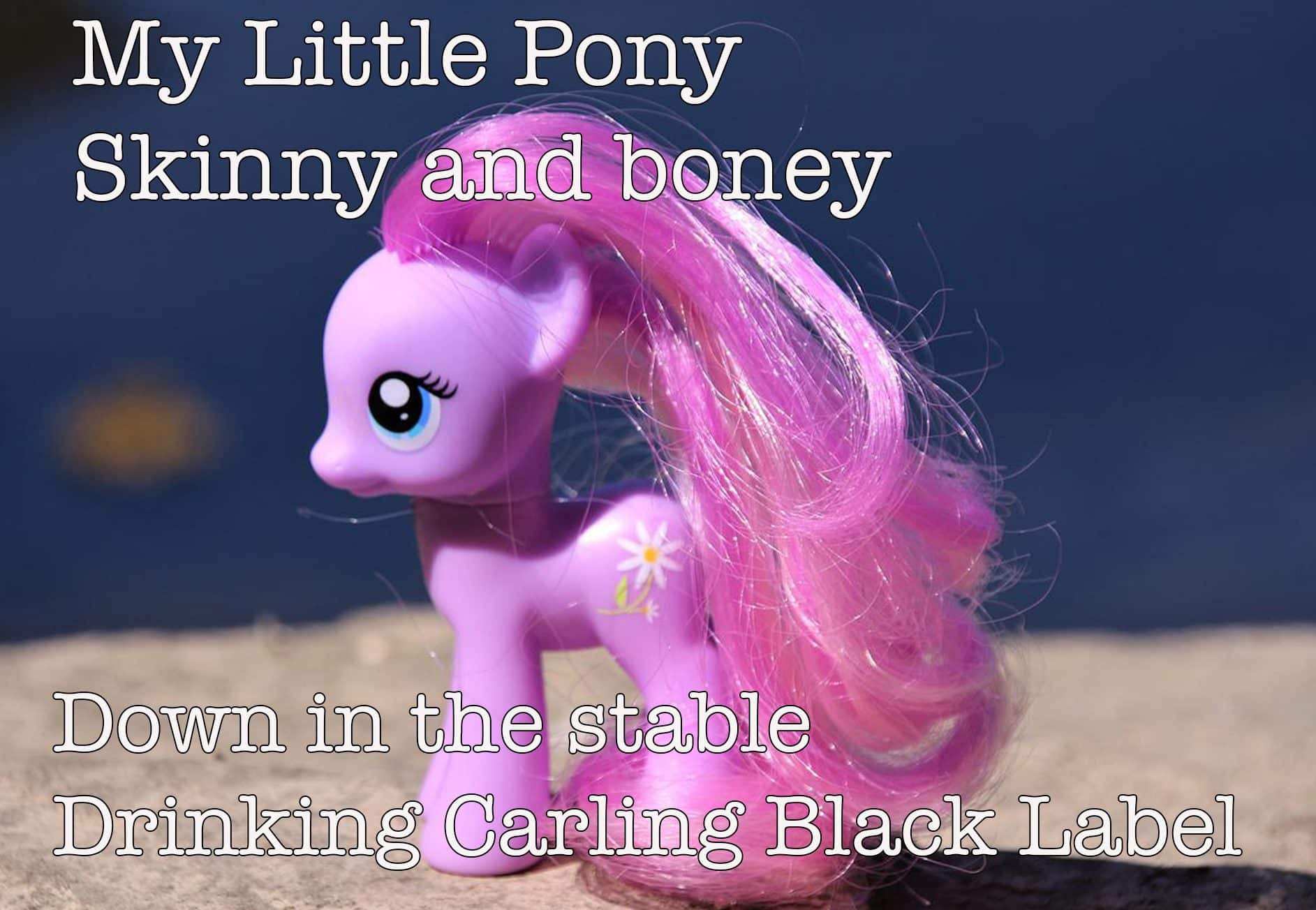 My little pony skinny and bony song lyrics