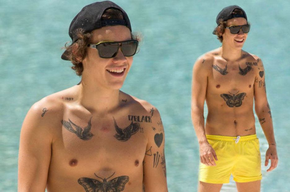 Harry Styles Extra Nipples