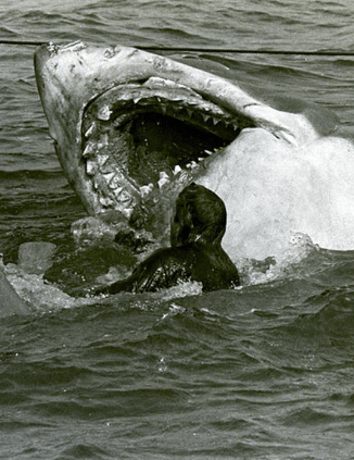 27 Things You Didn't Know About Jaws